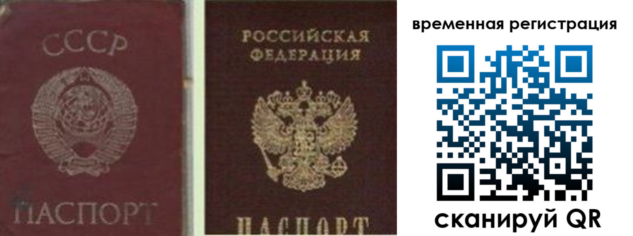 найти адрес прописки в Александровске-Сахалинском